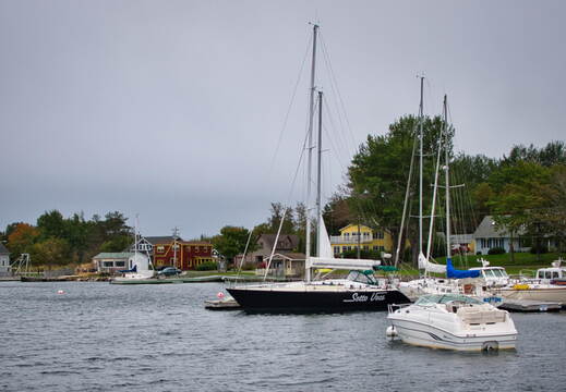 DSC 0254